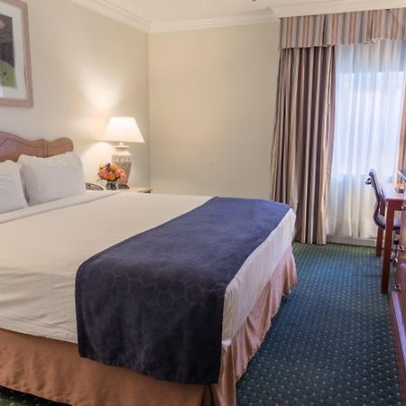Maison Dupuy Hotel New Orleans Esterno foto